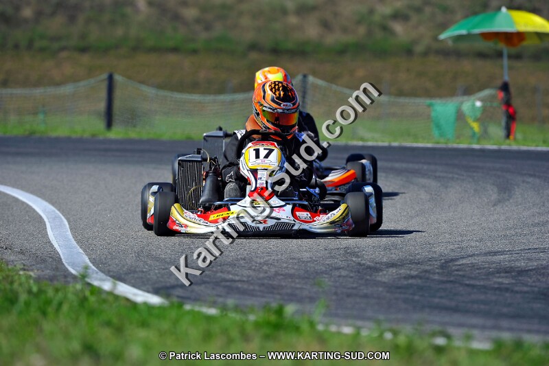 DSC_ (1602).jpg
